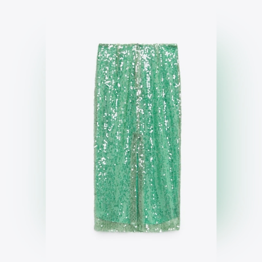 Zara Skirt - Picture 2 of 10
